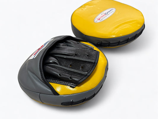 Boxing Mitts